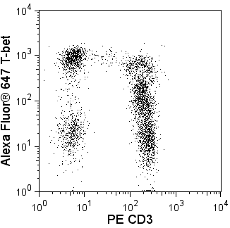 04_Perm_III_CD3_T-bet-A647.png